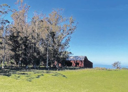 Goodwood Farm Reset Urban 1