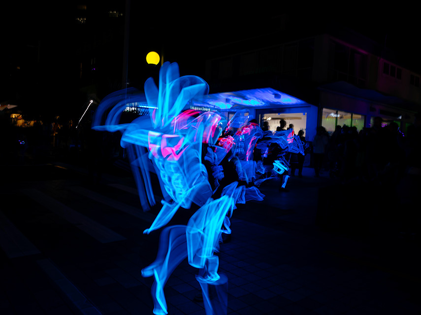 Light Festival Article Image 4