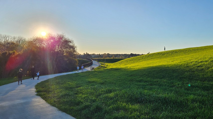 Opaheke park 8