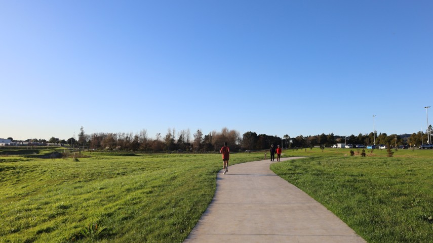 Opaheke park 9