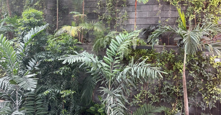 Reset in the Pacific Singapore palm trees