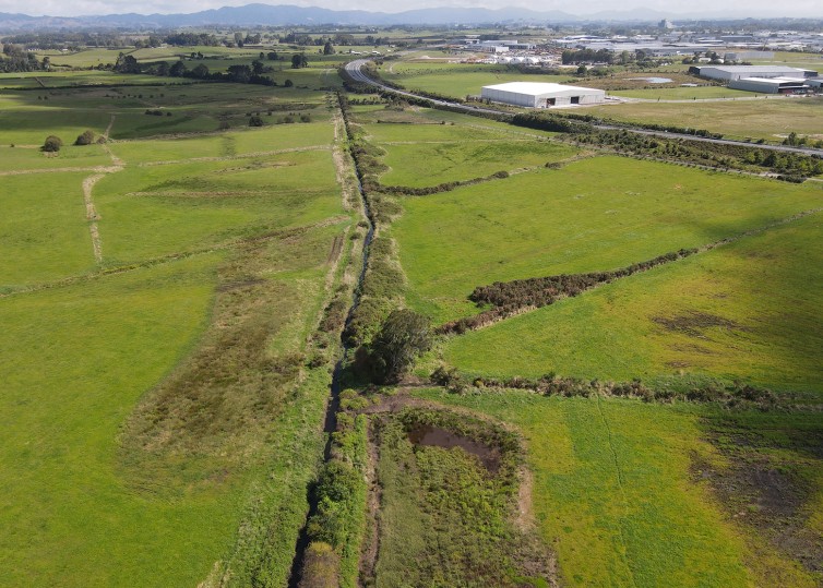 Rotokauri Greenway Reset Urban Design Image 2