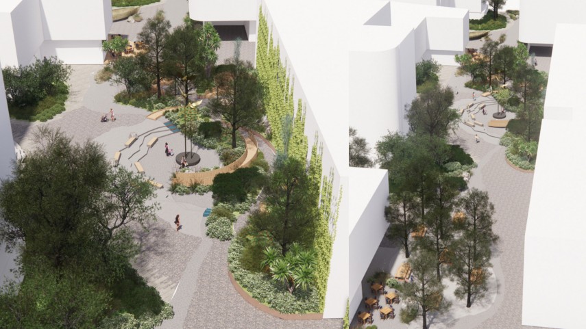 Reset Wanaka Health Precinct cultural design