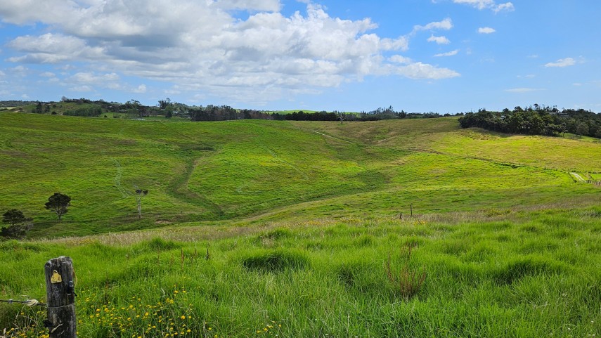 mangawhai hills 3